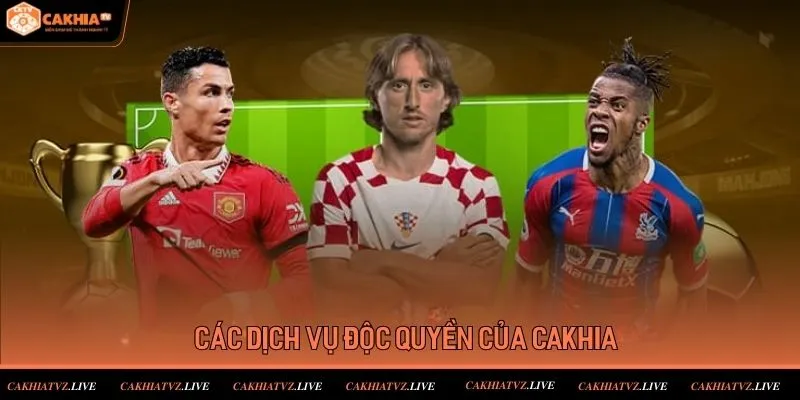 Điểm danh các dịch vụ độc quyền trang cá cược trực tuyến đang cung cấp